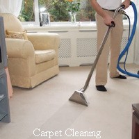 Carpets Steam Cleaned 354396 Image 5